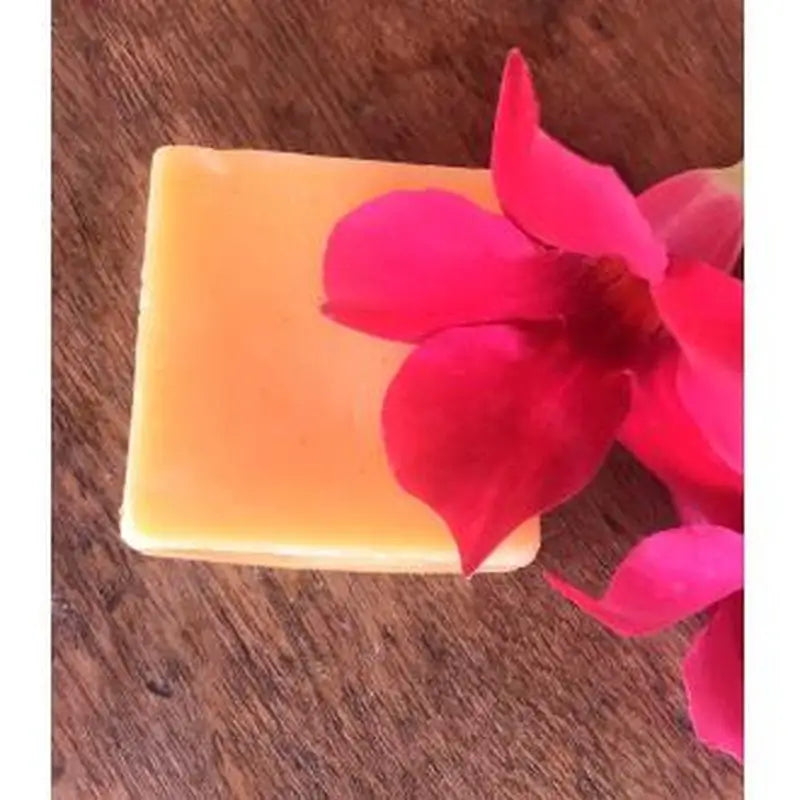 Nitx Anti-Frizz Solid Conditioner 55Gr.