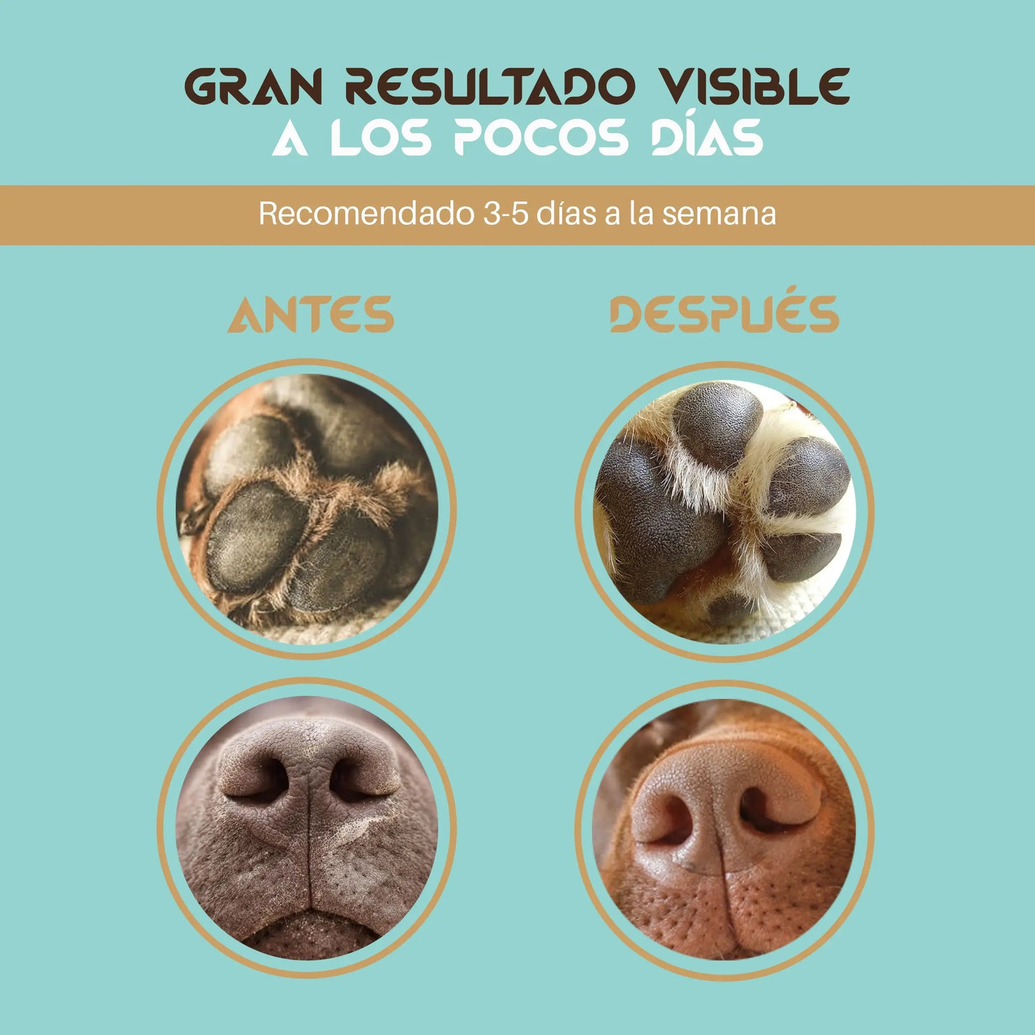 Baume cicatrisant Togo pour nez et coussinets de chiens et de chats, 60 ml