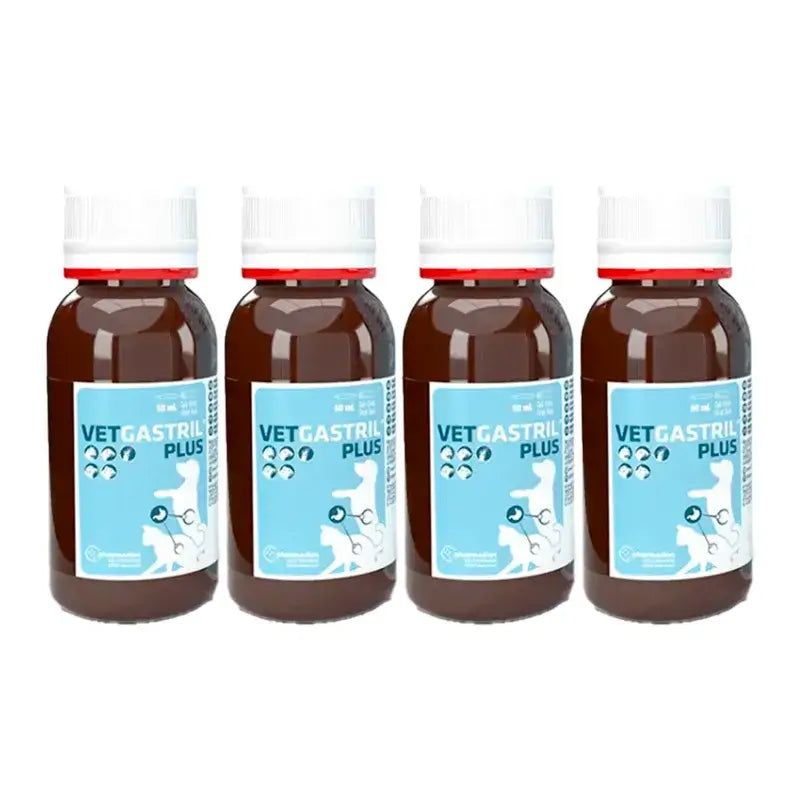 Vetgastril Plus Protecteur gastrique pour chiens et chats, paquet de 4 x 50 ml