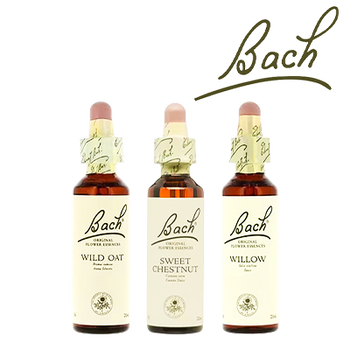 BACH 3X2 DTO. (31 MARZO 2025)