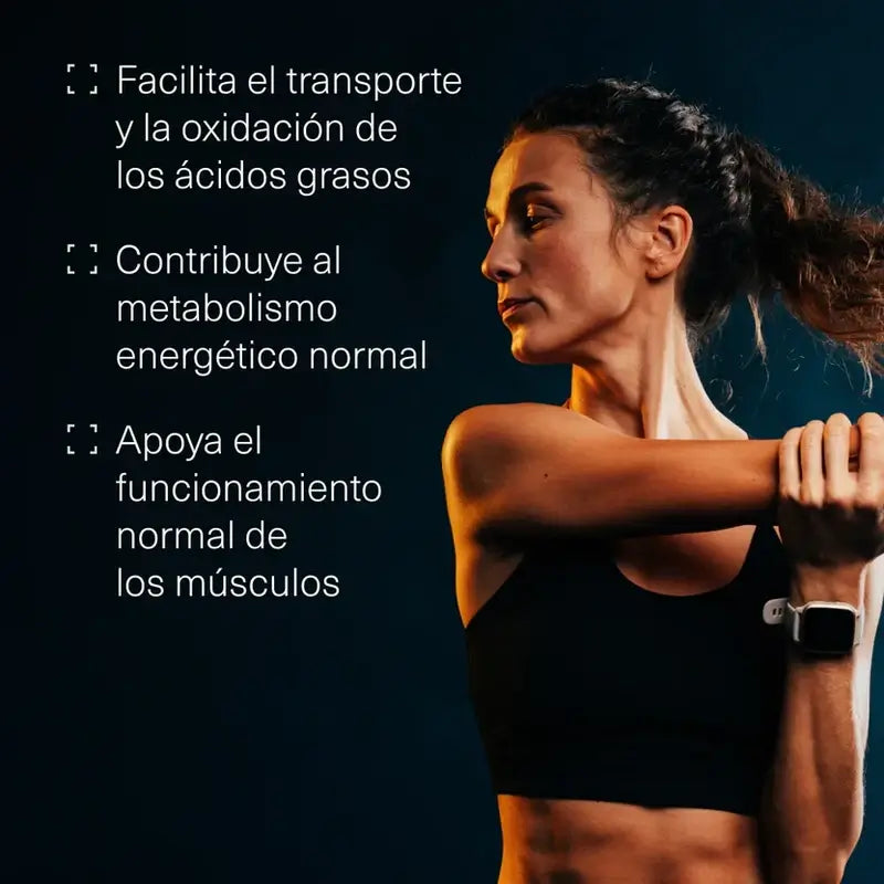 Aldous Bio Bio L Carnitine 2000Mg Pre Workout & Muscle Recovery Supplement, 200 Comprimés