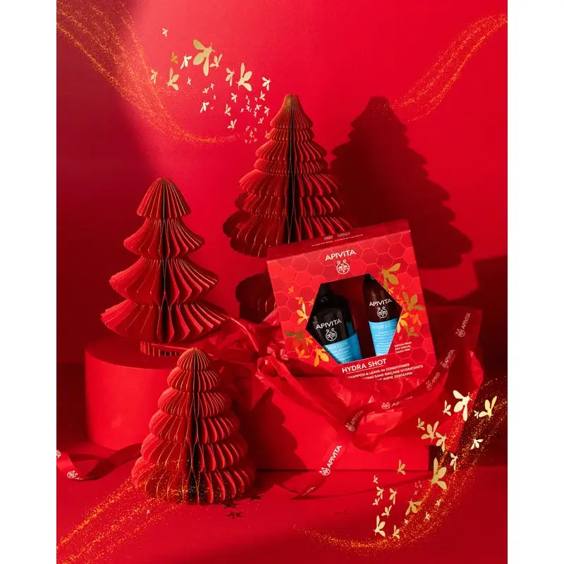 Apivita Box - Shampooing hydratant + Après-shampooing hydratant sans rinçage 100 ml, 2 unités