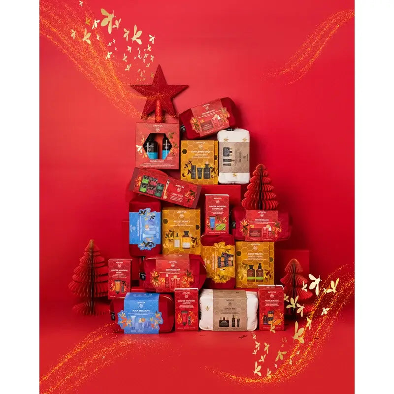 Apivita Box - Shampooing hydratant + Après-shampooing hydratant sans rinçage 100 ml, 2 unités