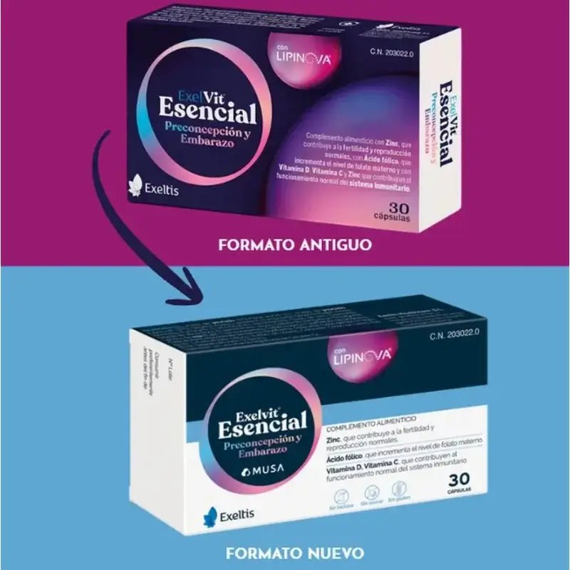 Exelvit Essentiel Préconception et Grossesse, 6x30 Capsules