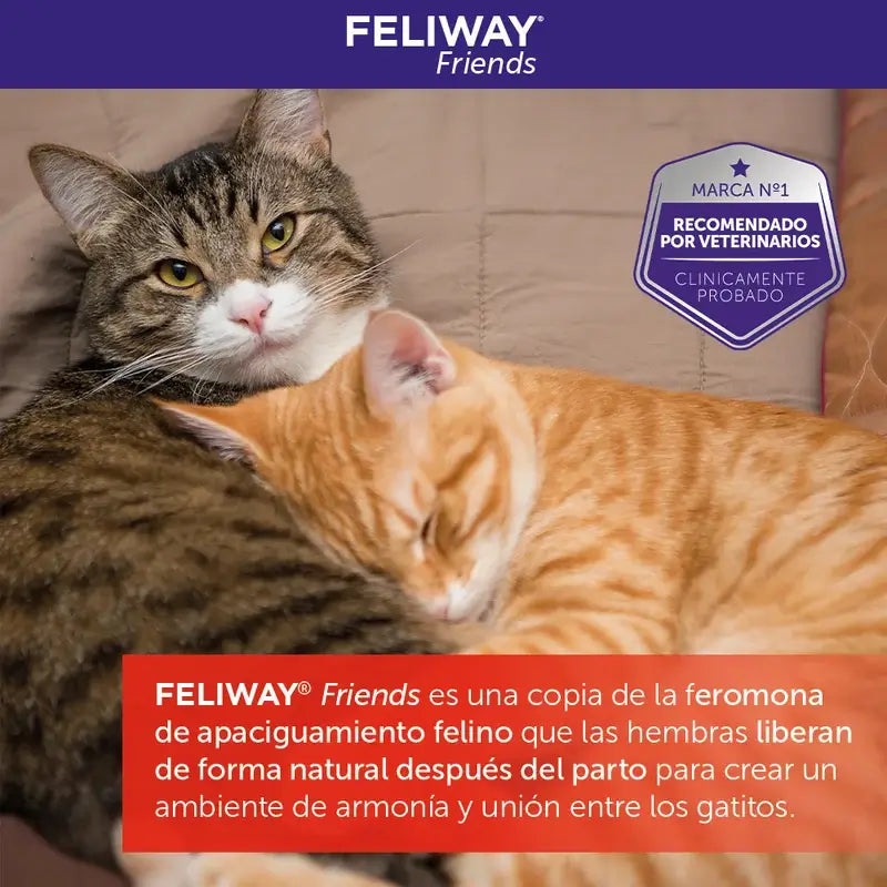 Ceva Feliway Friends Diffuseur + Recharge 48 ml