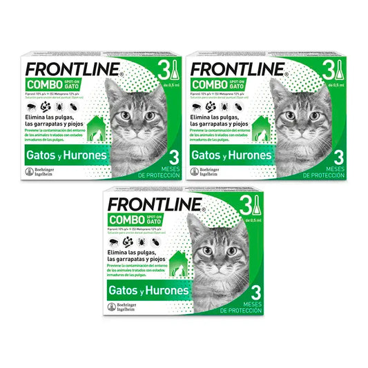 Frontline Combo Chats et Furets, Pack 3 x 3 Pipettes x 0,5 ml