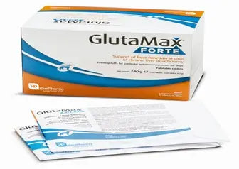 Glutamax Forte, 120 Comprimés