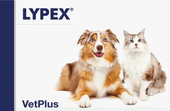 Lypex Chiens et Chats, 60 Capsules