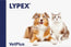 Lypex Chiens et Chats, 60 Capsules