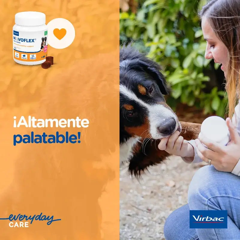 Movoflex Chondroprotecteur Petits Chiens Jusqu'à 15Kg, 30 Comprimés