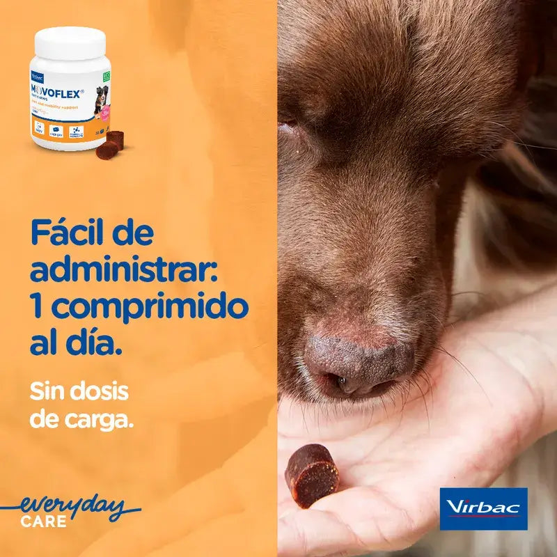 Movoflex Chondroprotecteur Petits Chiens Jusqu'à 15Kg, 30 Comprimés