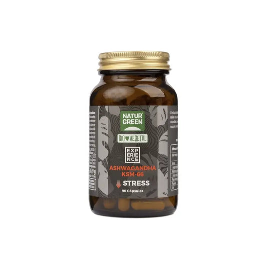 Naturgreen Expérience Mémoire Cerveau Bio, 90 gélules