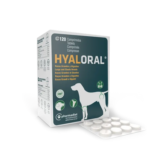 Hyaloral Grands Chiens 120 comprimés