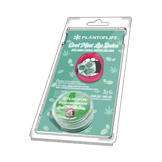 Plant Of Life Lipbalm Peppermint Ice 1% CBD - 0.5% Cbg , 3 g