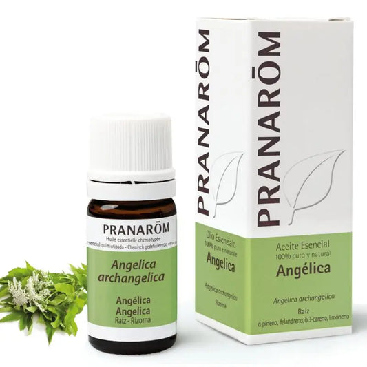 Pranarom Huile Essentielle Angélique, 5ml
