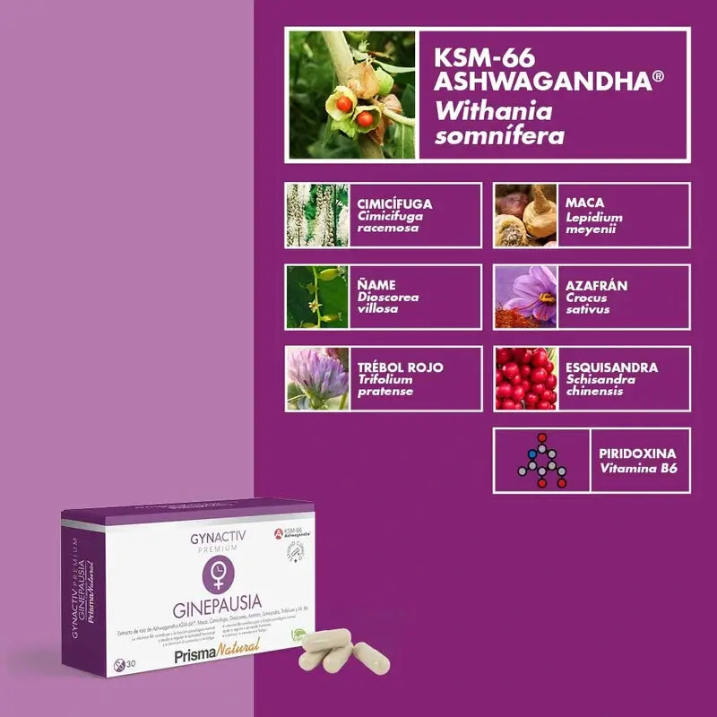 Prisma Premium Gynactiv Ginepausia, 30 Capsules