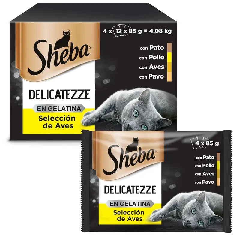 Sheba Multipack Delicatezze Gelée de volaille 4X12X85Gr