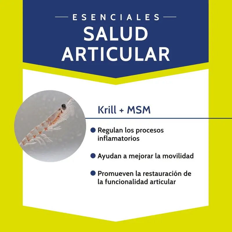 Stangest Chondrocare 90 Comprimés