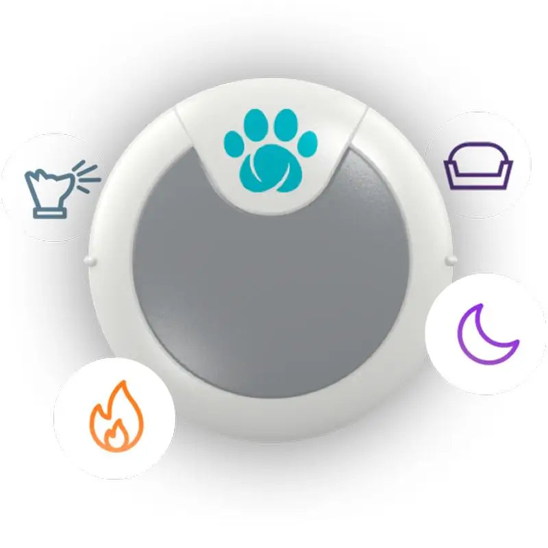 Sure PetCare Animo - Moniteur de comportement et d'activité pour chiens.