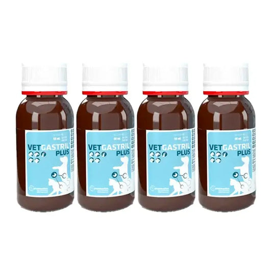 Vetgastril Plus Protecteur gastrique pour chiens et chats, paquet de 4 x 50 ml